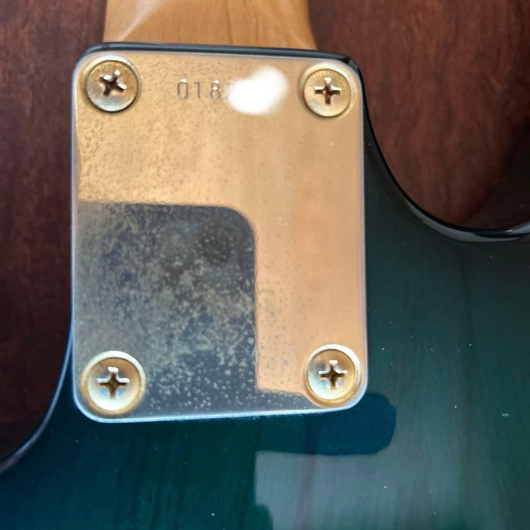 TOKAI ビンデージギター JSR シースルーウッドグリーン