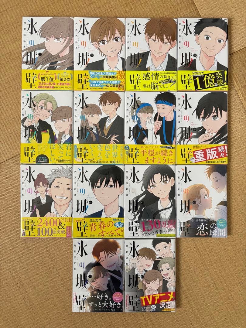 氷の城壁　全14巻セット