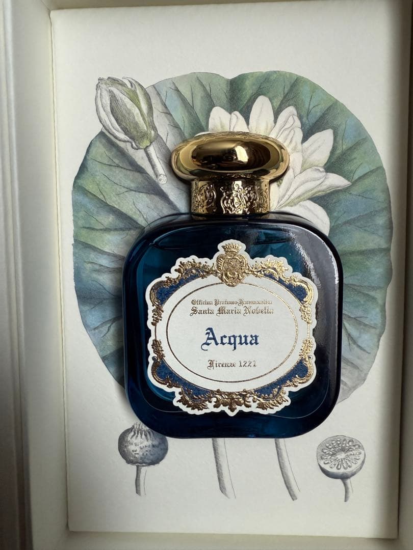 サンタマリアノヴェッラ アクア 香水