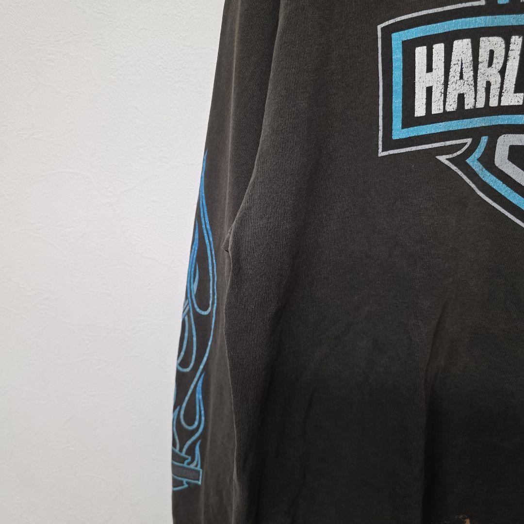 1996年コピーライト入　USA製　ハーレーダビッドソン　ターコイズファイヤー