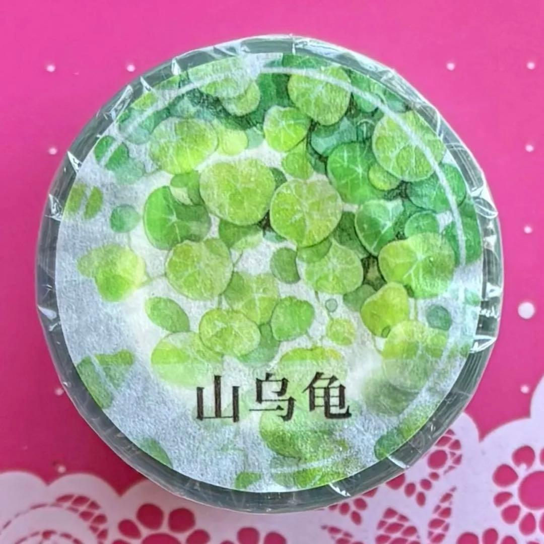 贝壳光 山乌龟 5.5cm×10m 海外マスキングテープ　海外マステ　葉