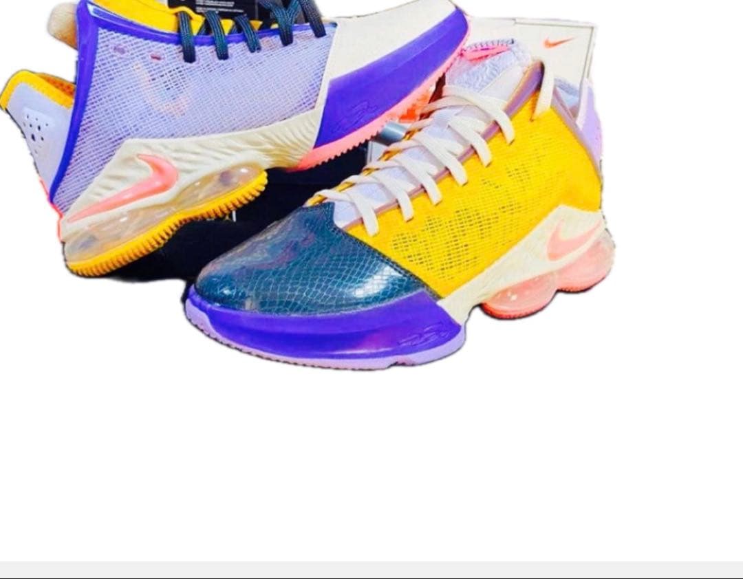 レブロン バスケットボールシューズ マルチカラー