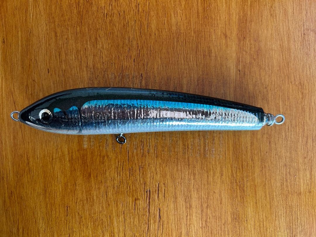 Carpenter ブルーフィッシュ100 グリーンバック/シルバーサイド