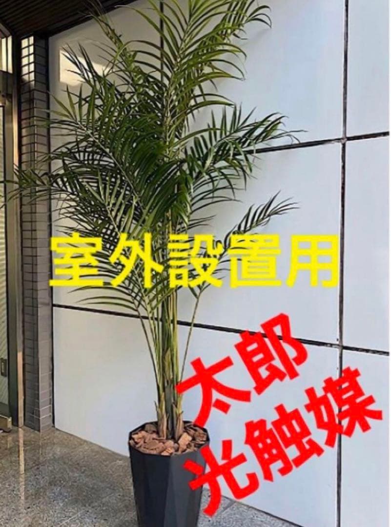 光触媒　人工観葉植物　ウォールグリーン　フェイクグリーン　室外用アレカヤシ160