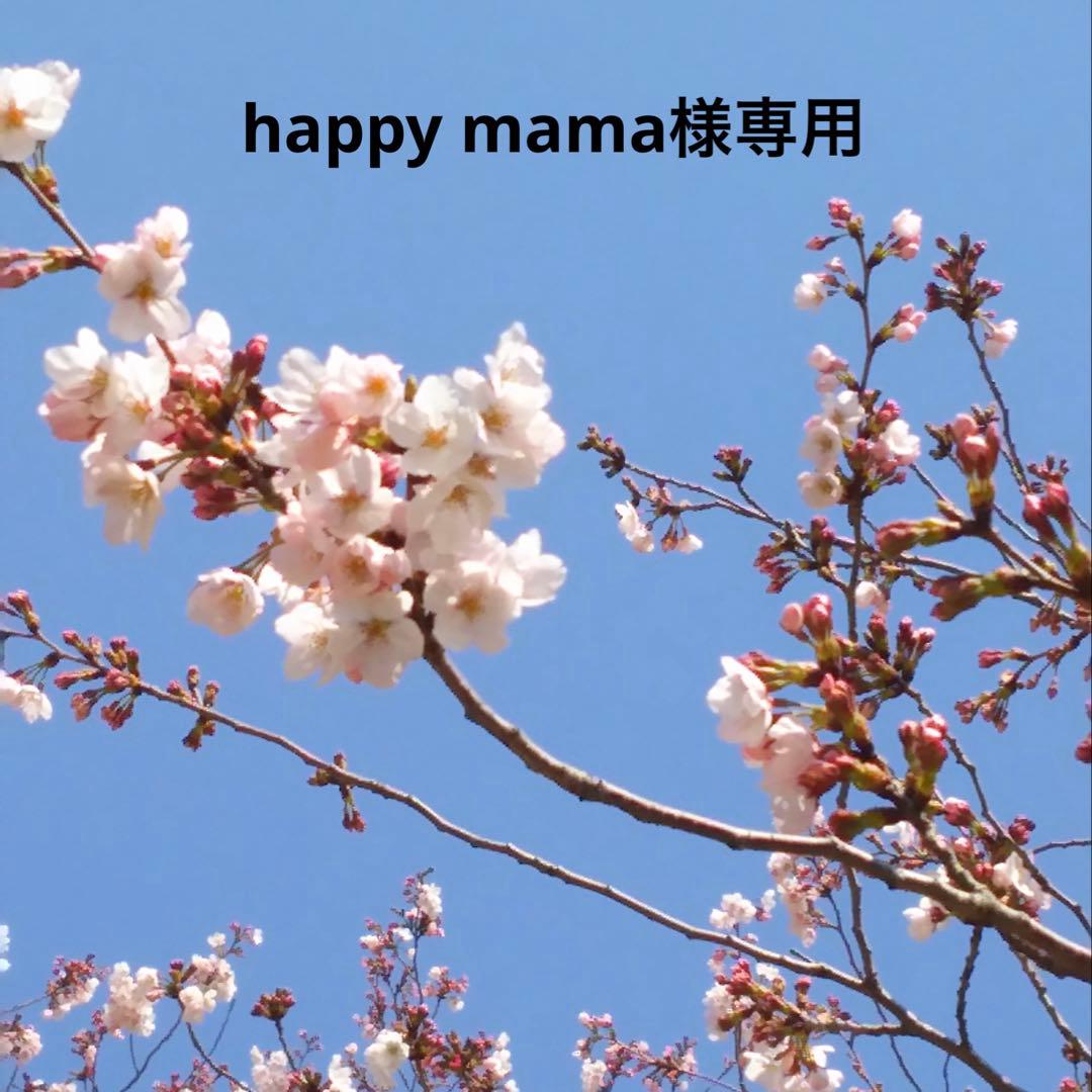 その他 happy mama