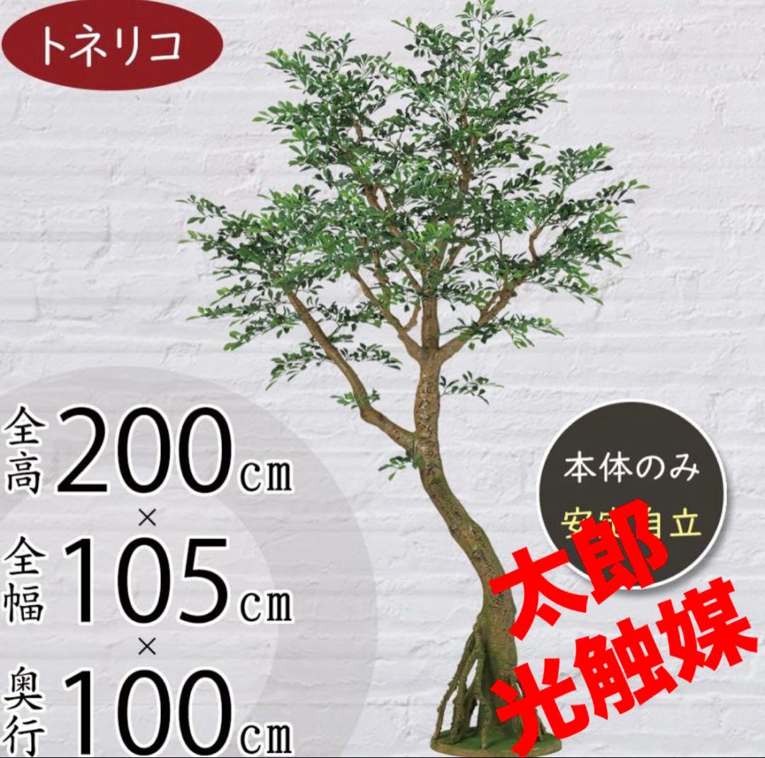 光触媒　人工観葉植物　ウォールグリーン　フェイクグリーン　トネリココアッド