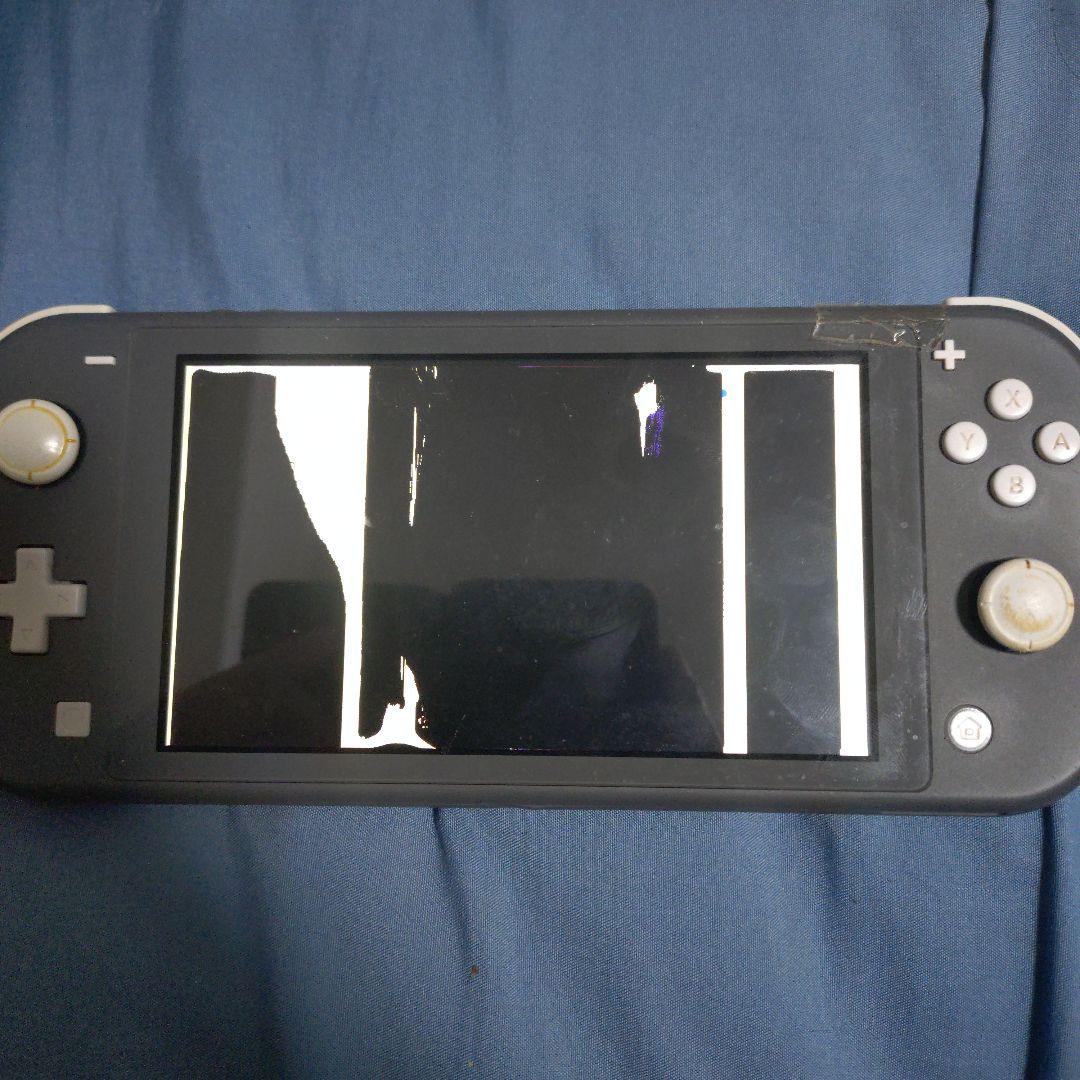 Switchライト　画面映らないためジャンク品 本体のみ