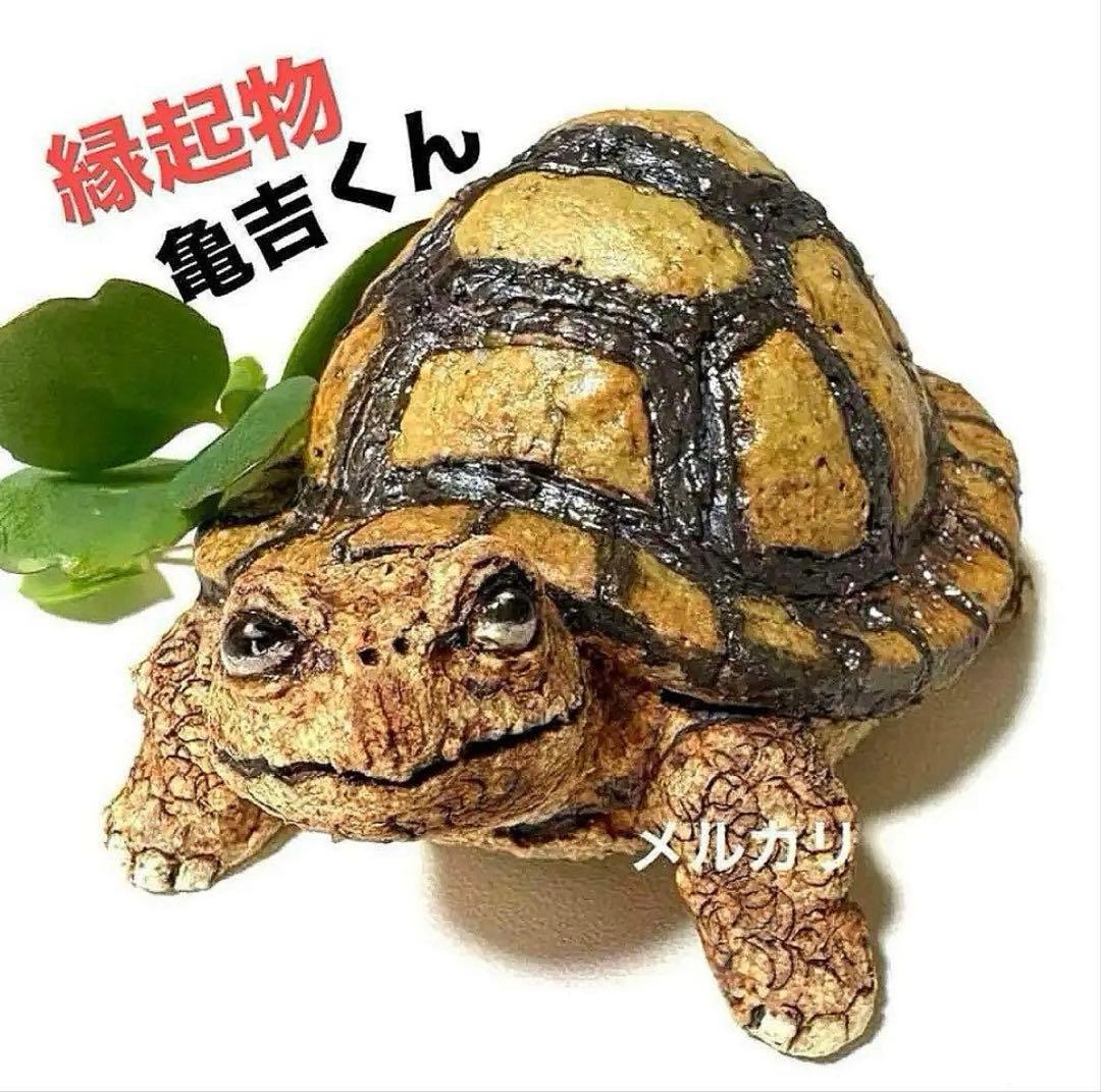 縁起物❣️可愛い亀の亀吉くん❤️陶器人形、置物、亀置物