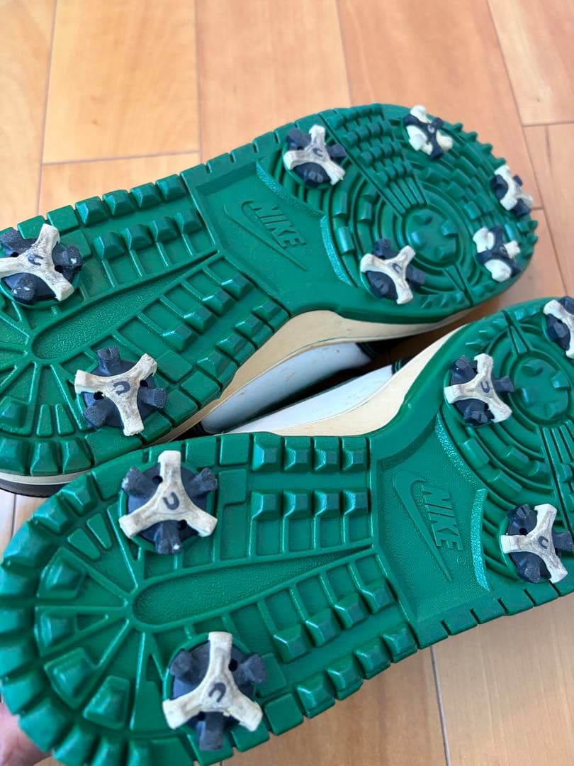 Nike DUNK ゴルフシューズ 28