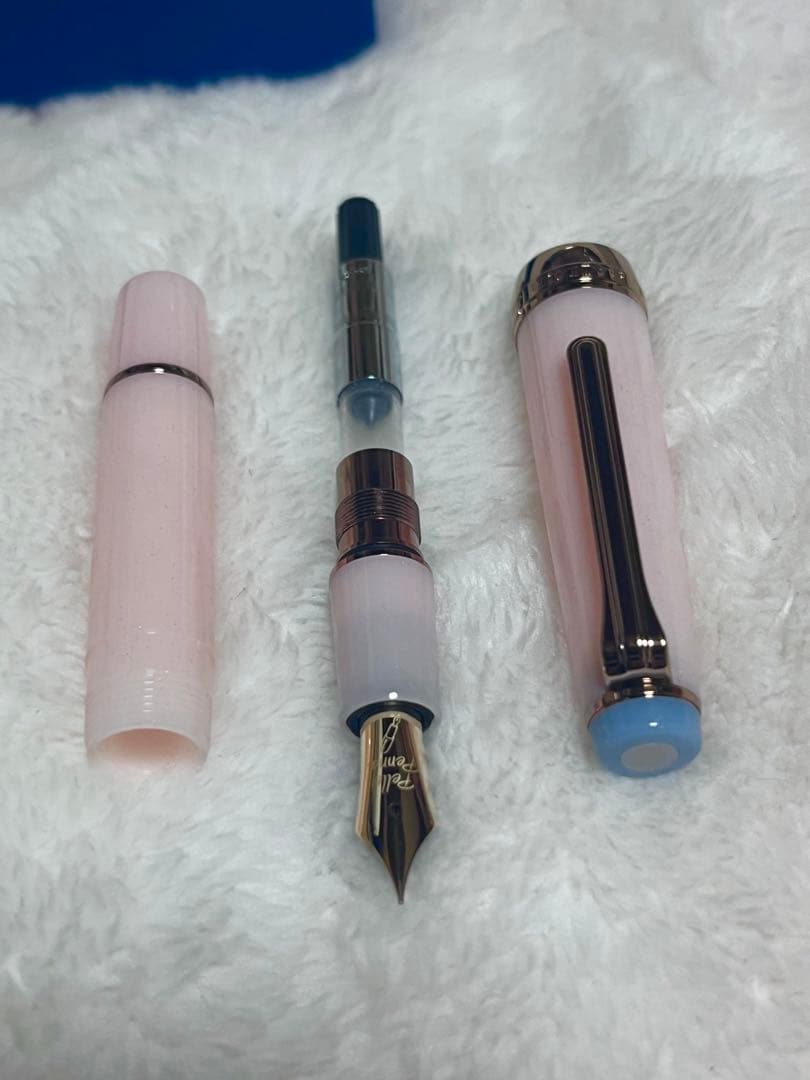 限定 新品未使用 セーラー万年筆 ペレペンナ 10周年記念 万年筆 結桜 ニブF