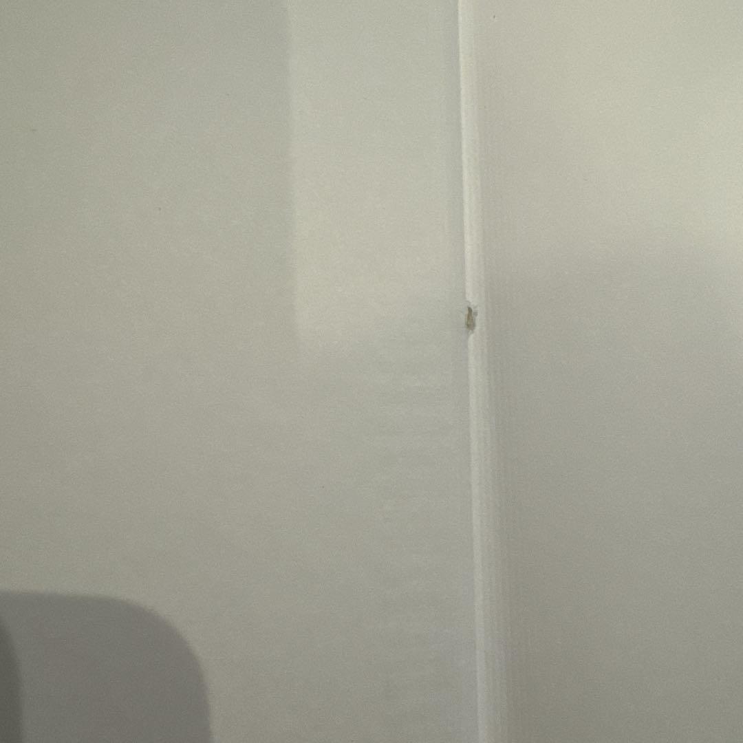 【幼児〜低学年向け】定番 名作 人気絵本 40冊 福音館 くもん推薦図書など