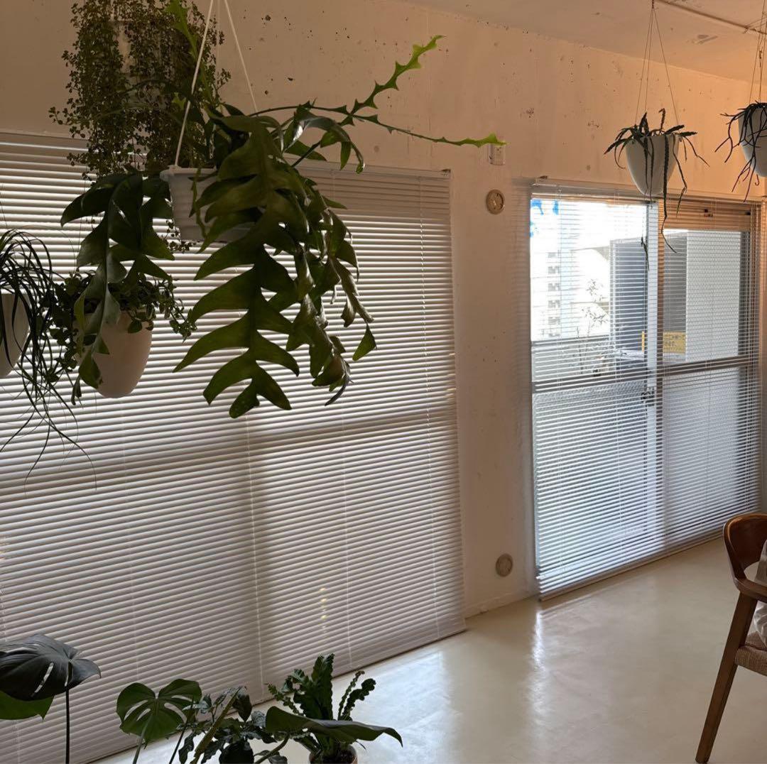 【2セット】アルミブラインド　白