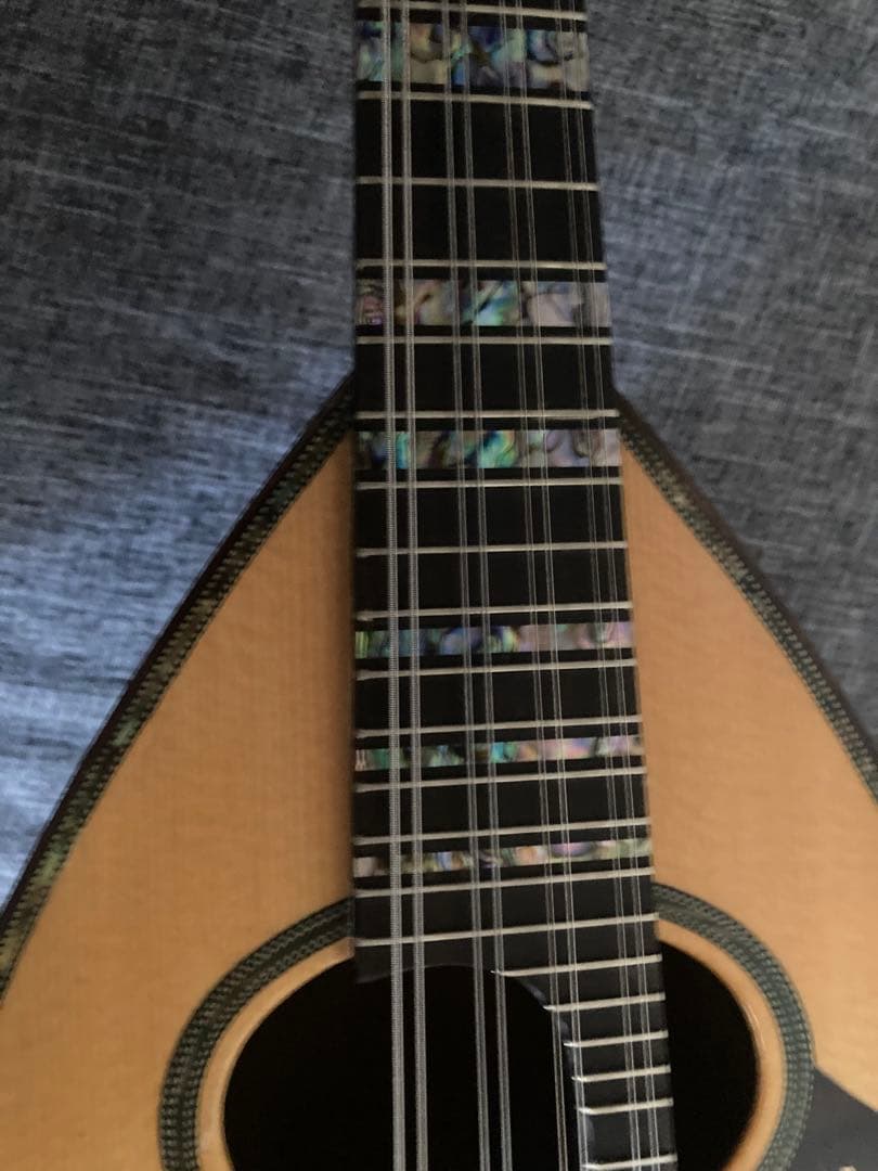 Ｓ*Ｙ様 マンドリン（サウンドエナ M-160）ケース付き