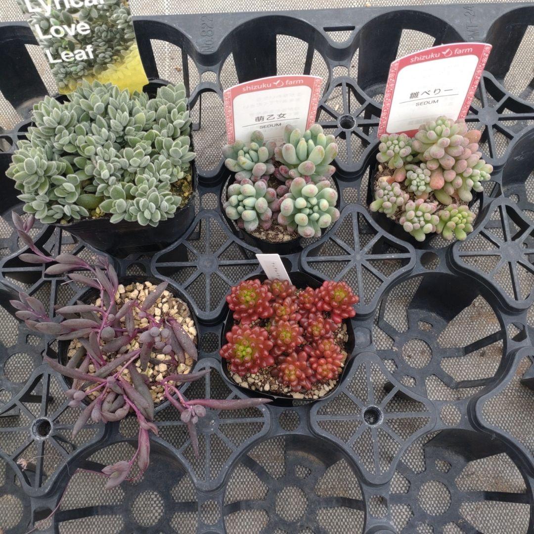 追加検討中 OKZ1719さん専用