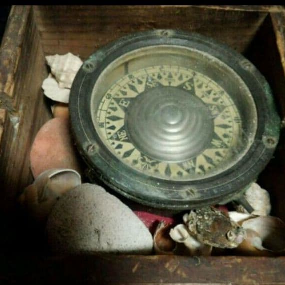 船舶用コンパス