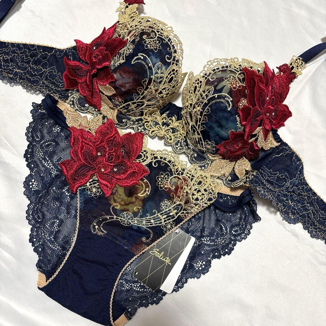 サルート90店舗限定　KOカラー　D70ショーツMセット