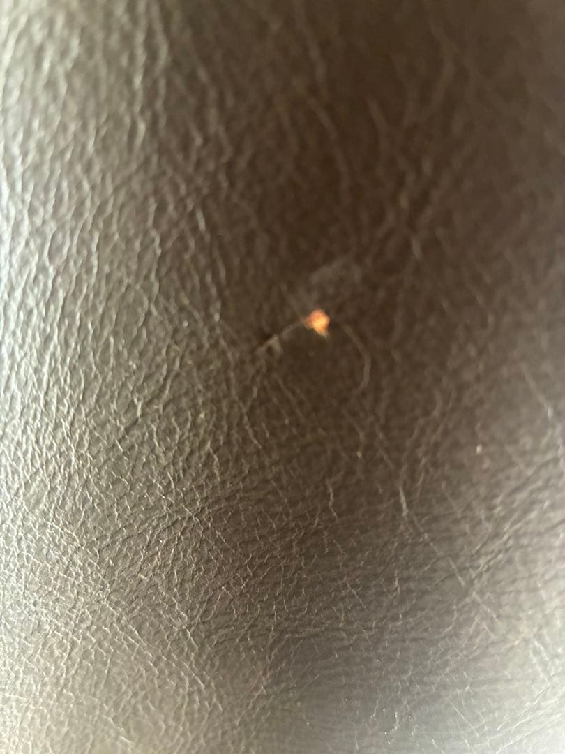 MAX CADYs clothing革ジャン