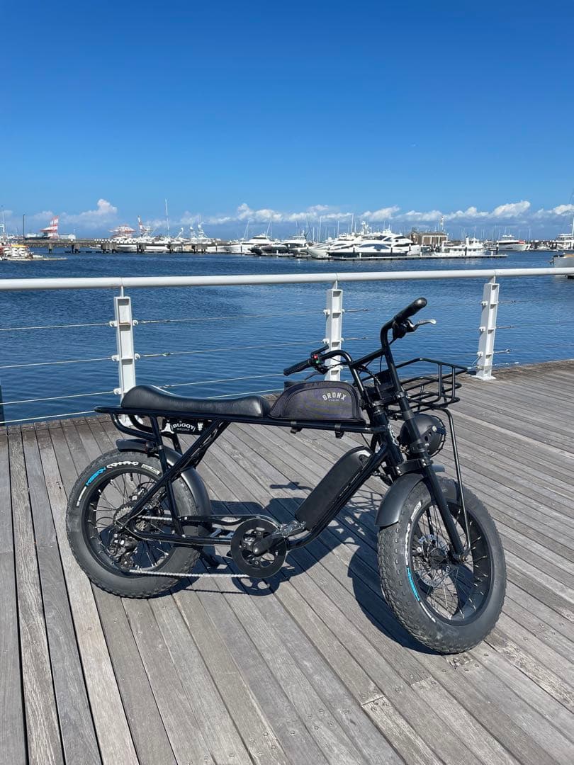 【横浜市引き取り限定】BRONX BUGGY ブロンクスバギー