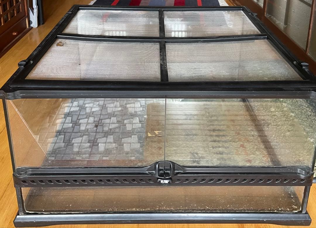 大型飼育ケージ ガラス製 メッシュカバー付き
