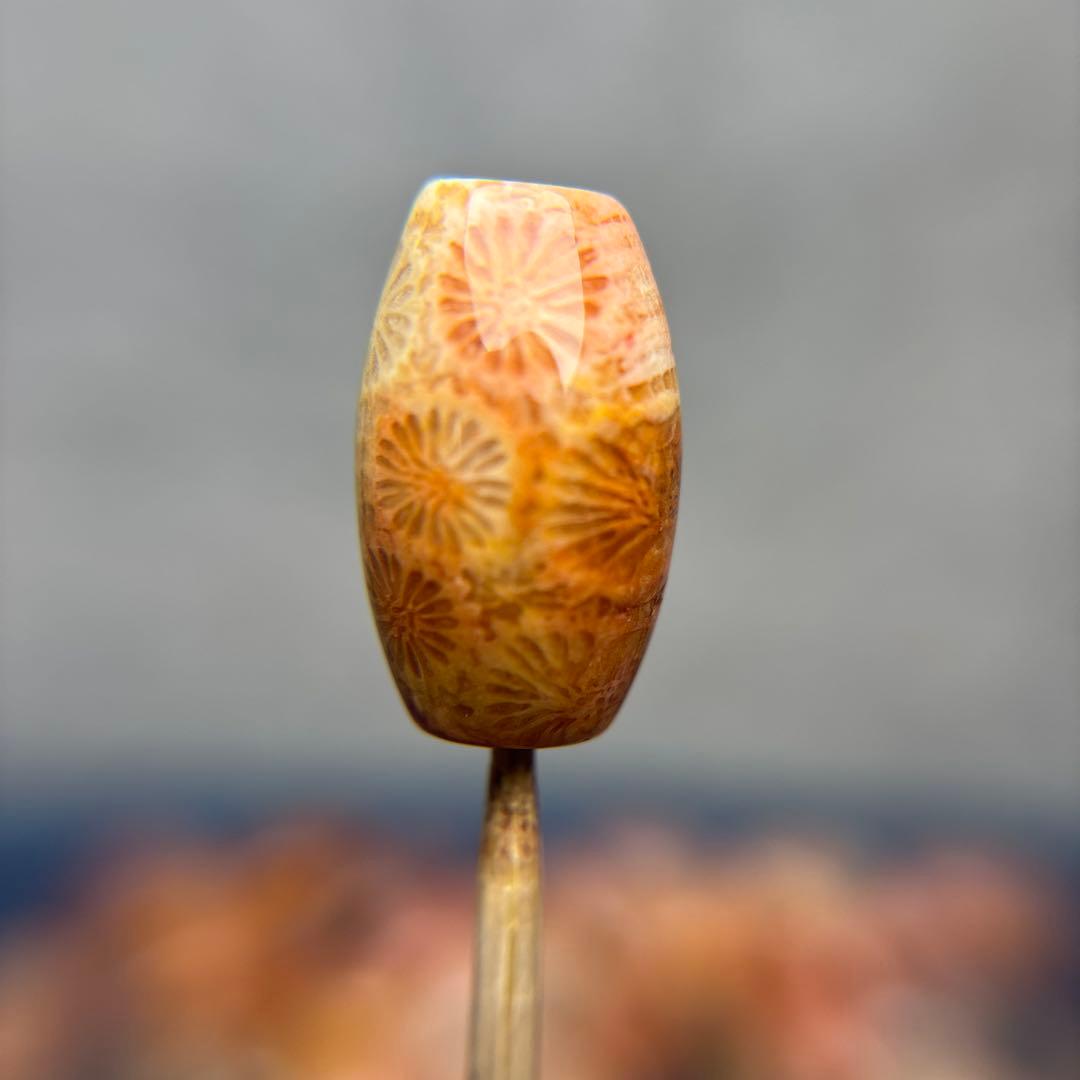 あずきちゃんフォッシルコーラル　天珠　1-293