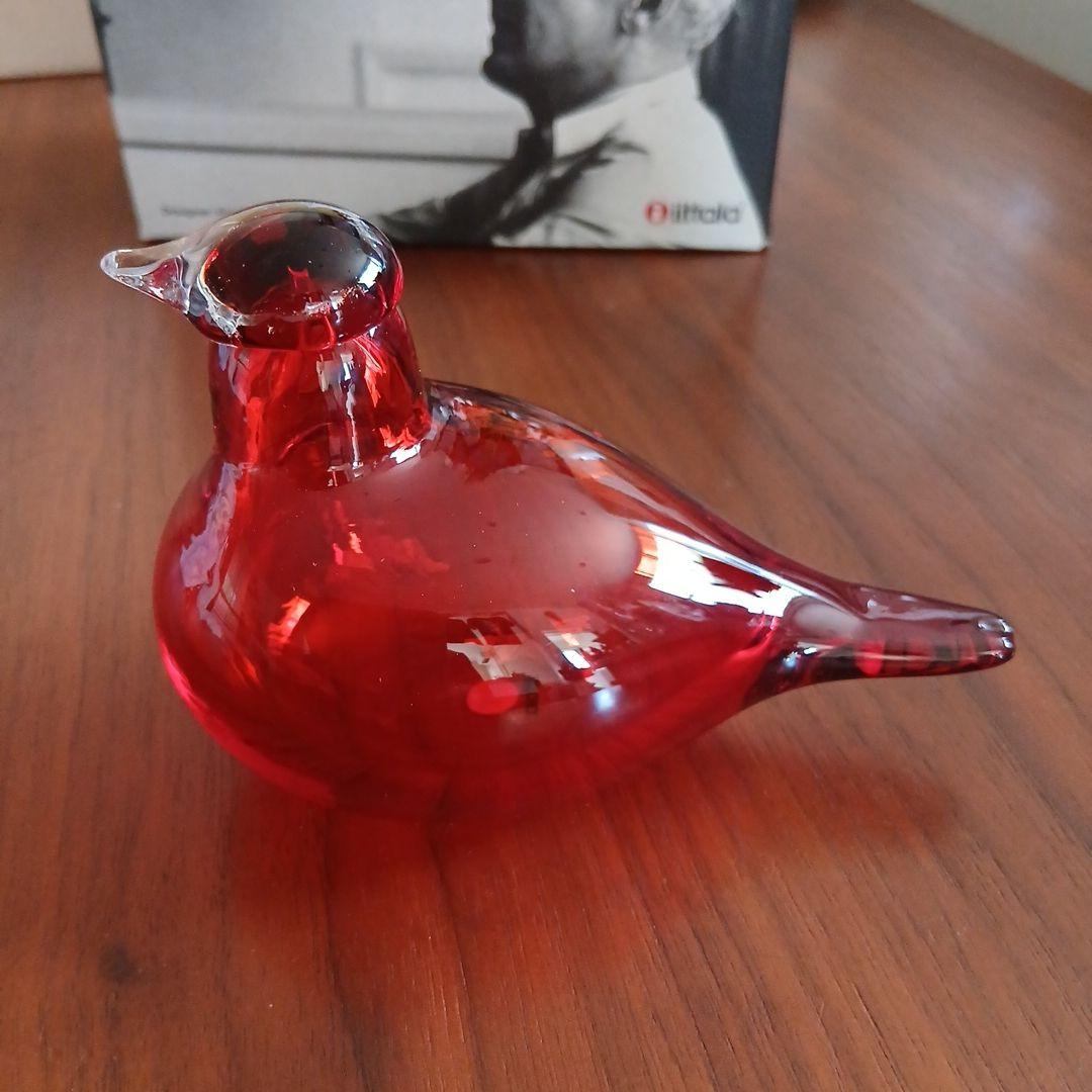 　リトルターン　レッド