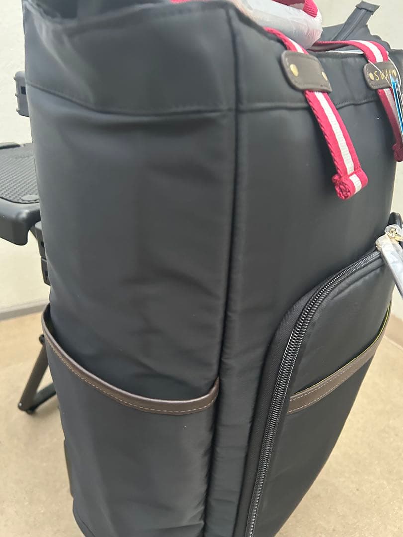 スワニーキャリーバッグイス付き