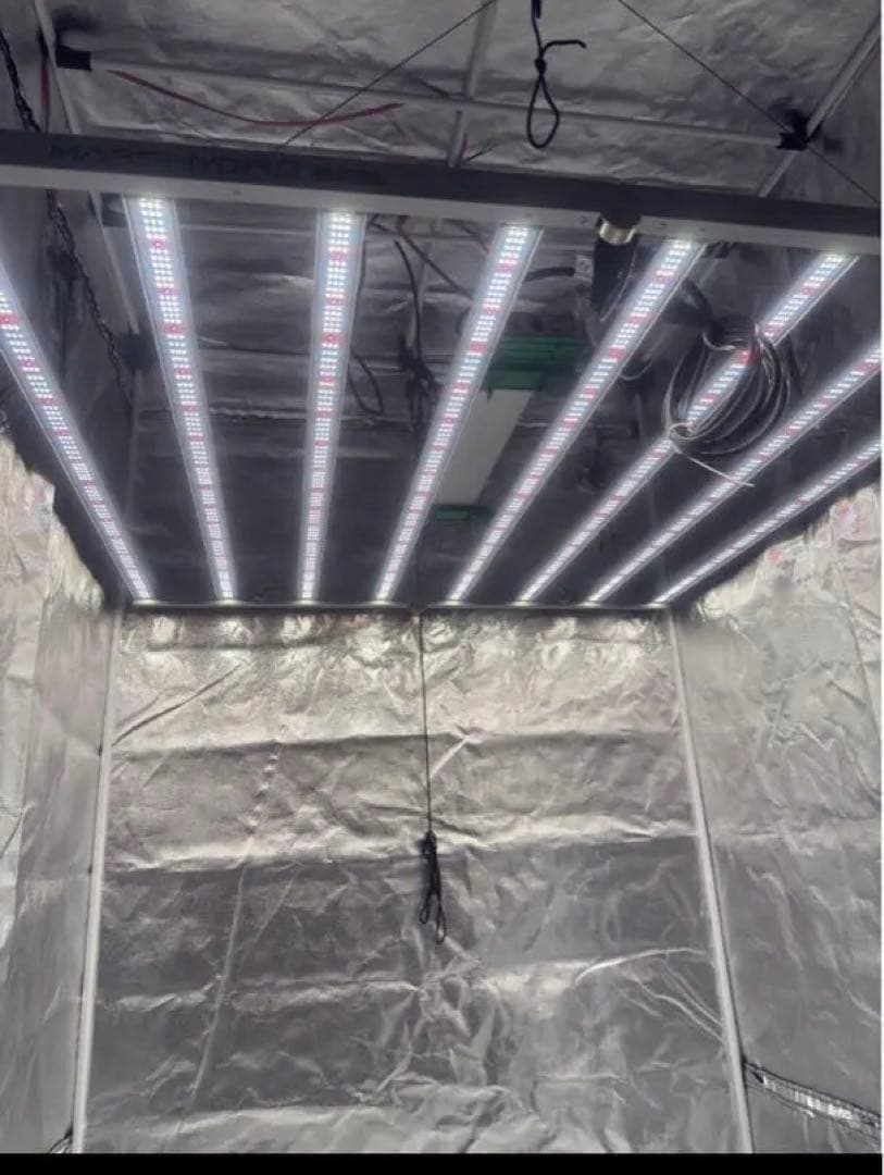 MARS HYDRO / FC 6500 / LEDライト/グロウ