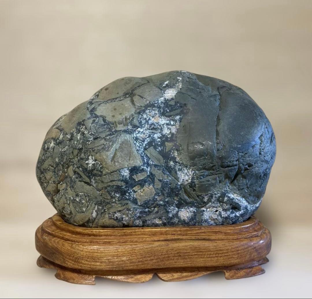 緑亀神　亀龍石　緑碧　嵐渓石　土岐石　出雲石　水石　鑑賞石　特大