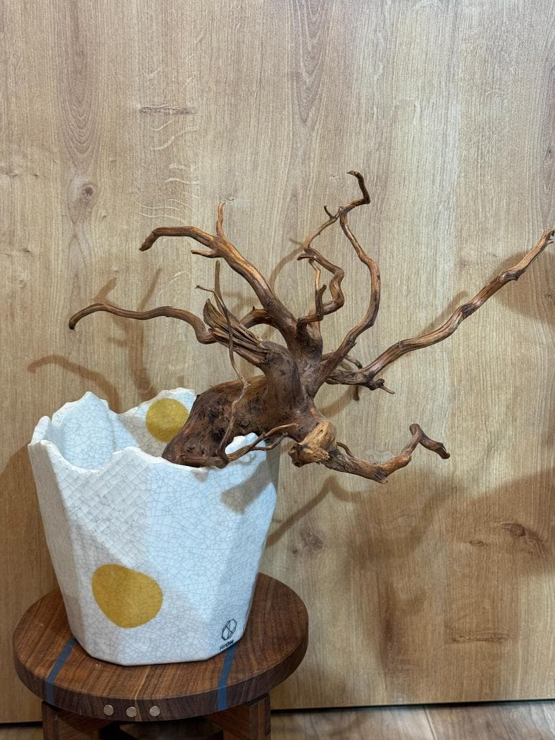 N/OH 澪標 山ノ月 ホワイト Lサイズ