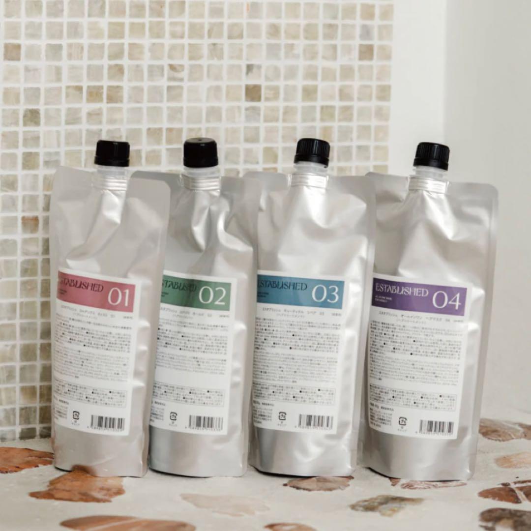 新品　エスタブリッシュ　システムトリートメント　業務用サイズ　リフィル