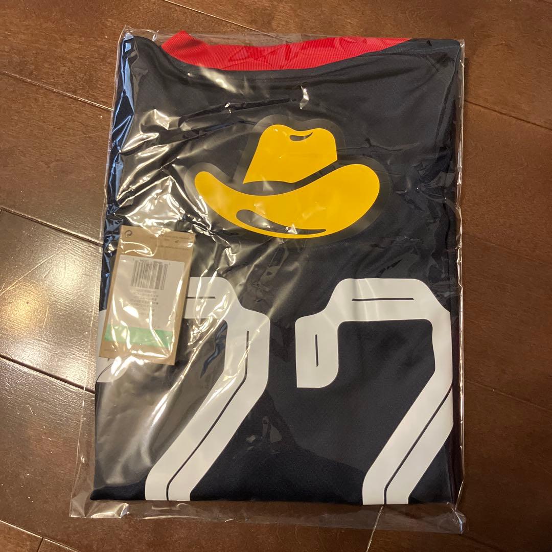 鹿島アントラーズ　100年構想リーグ　ユニホーム　チャヴリツチ