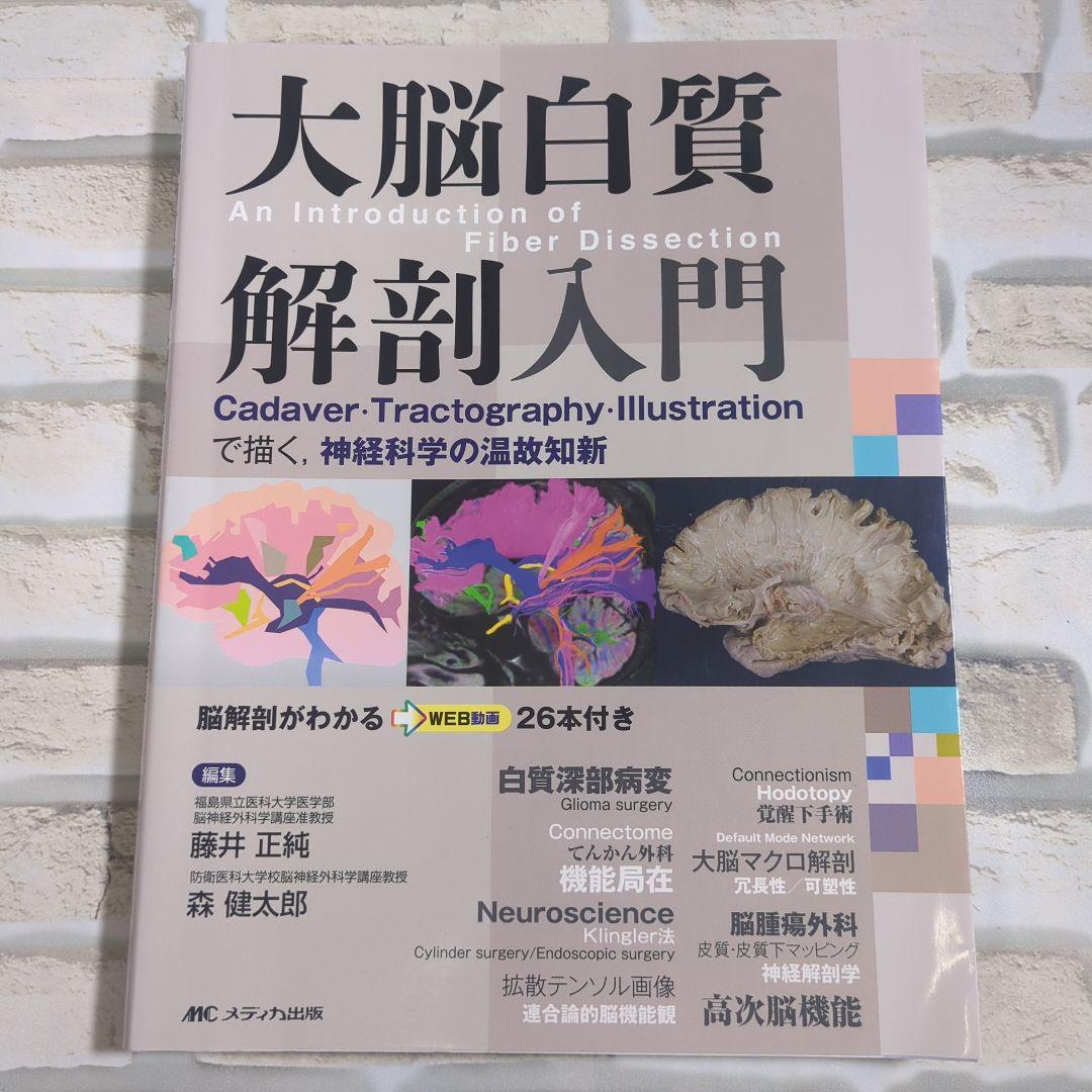 大脳白質解剖入門