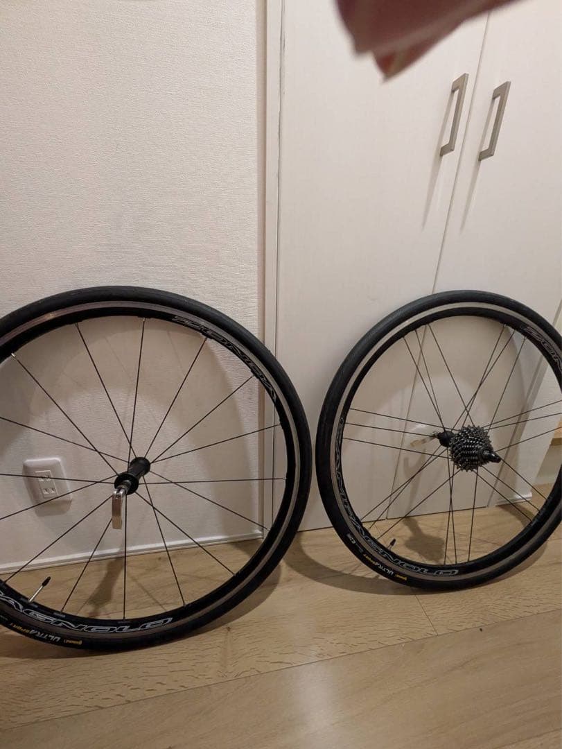 ま*。様 campagnelo zonda c17