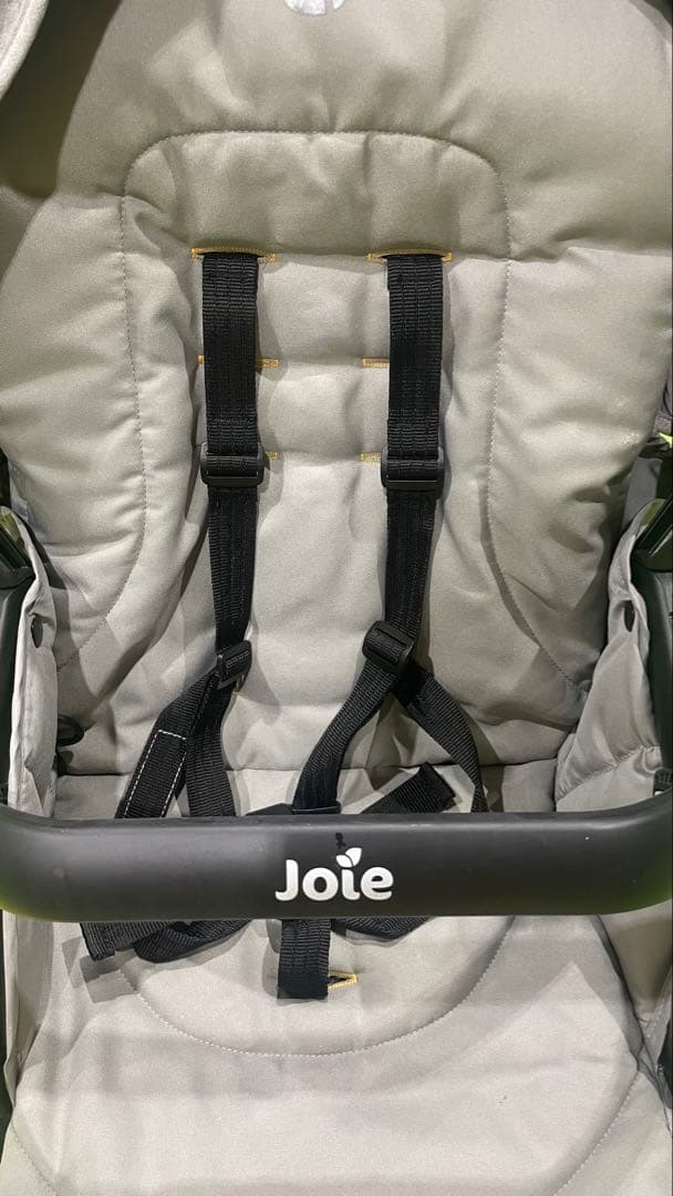 Joie(ジョイー) 二人乗りベビーカー　エヴァライトデュオ