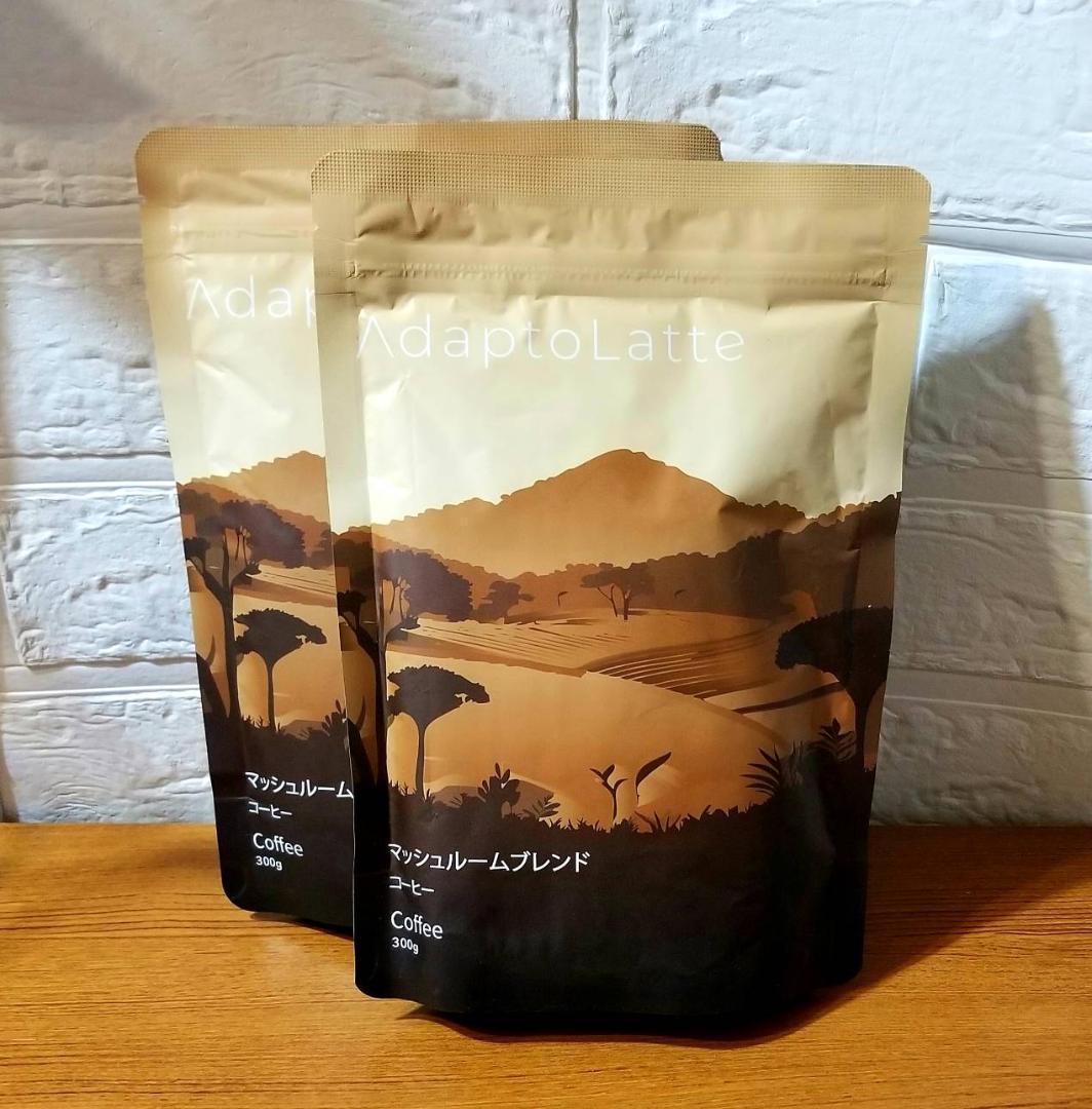 【かりめろ様】専用・茶300g×2袋≪フォロー割特価≫