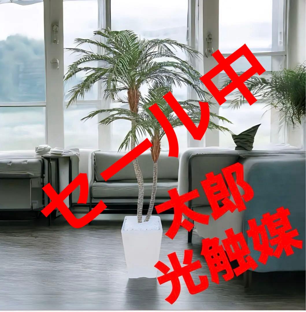 光触媒　人工観葉植物　フェイクグリーン　フェニックス パーム2本立