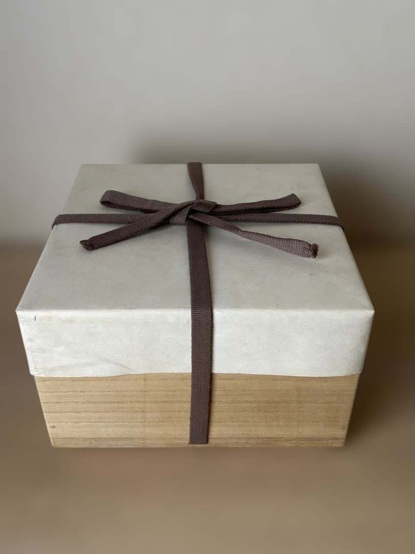 京都の陶芸家、竹中浩さんの色繪竹の子文鉢　新品未使用