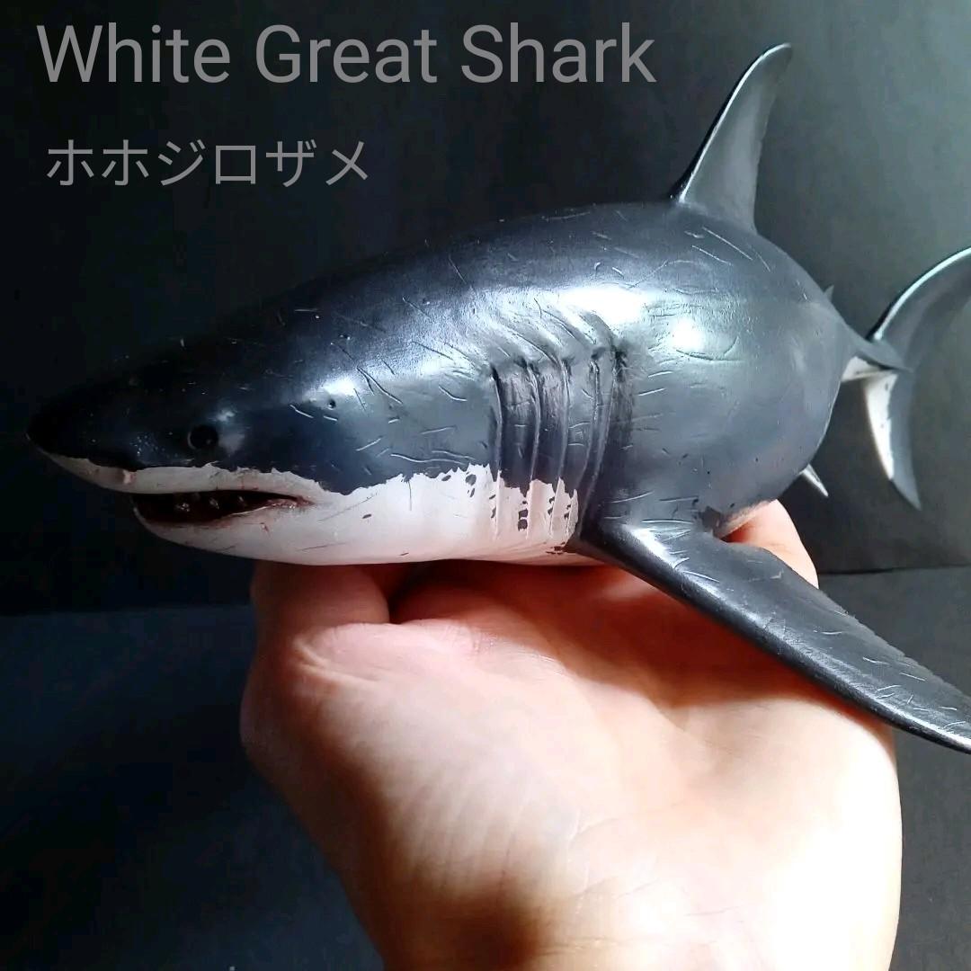 サメ　模型　ホホジロザメ　超絶モデル