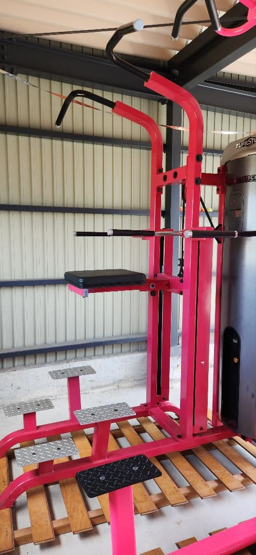 Proformance タフスタッフ懸垂 チンニング 背筋 サポートウェイト