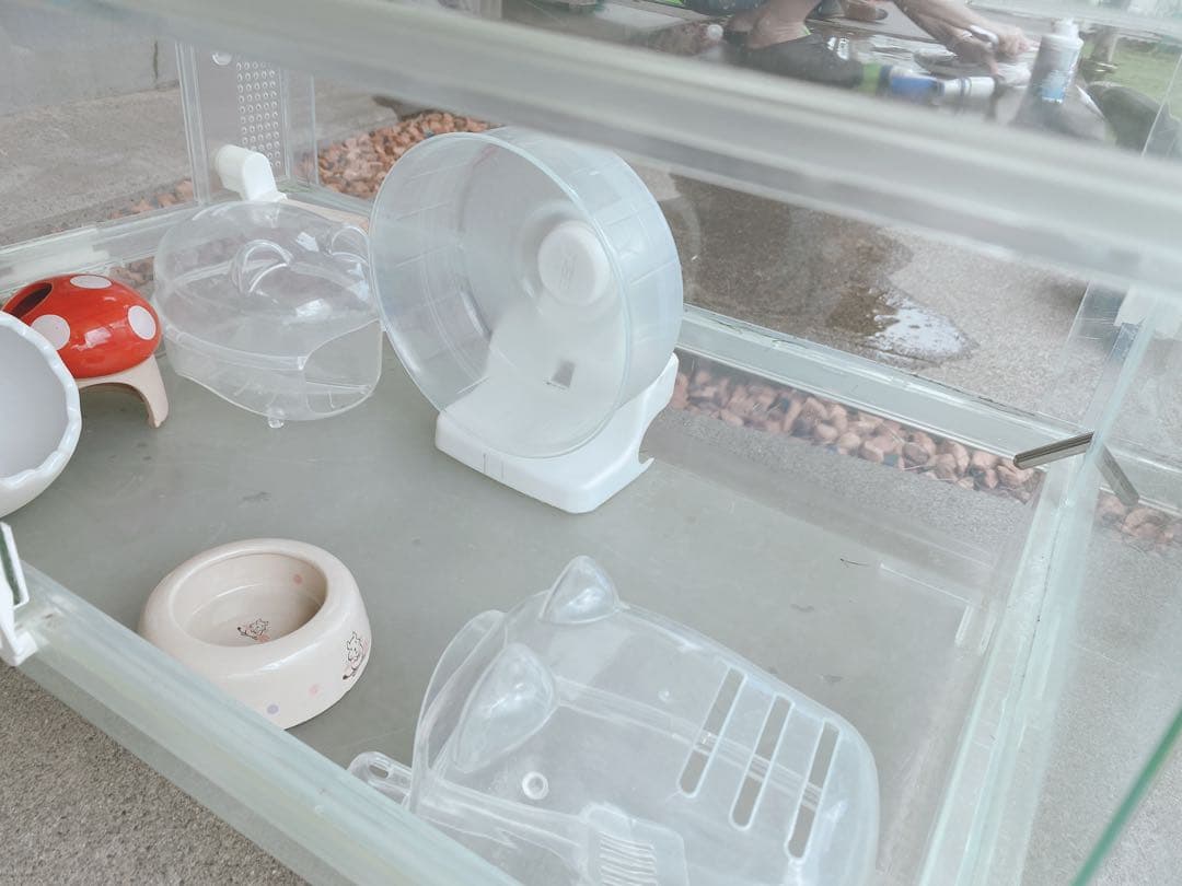 ハムスター　買い始めセット(埼玉県、直接渡しのみ)