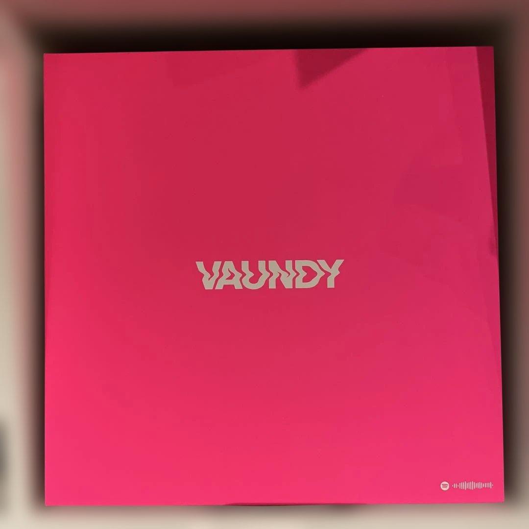 邦楽 Vaundy/strobo+