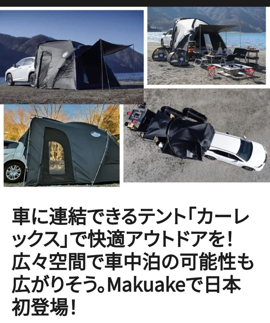 【値下げ！】CAREX カーレックス