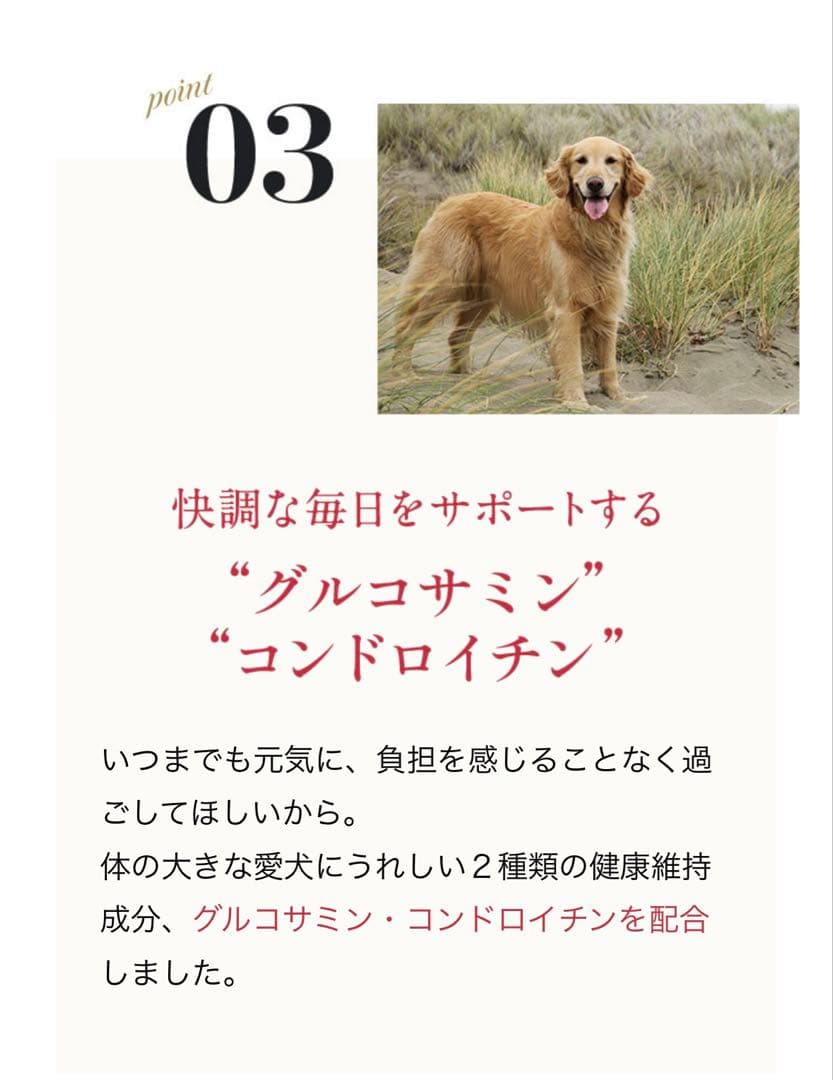 ☆ネルソンズドッグフード・グレインフリー☆中型犬・大型犬・5kg（2袋セット）☆