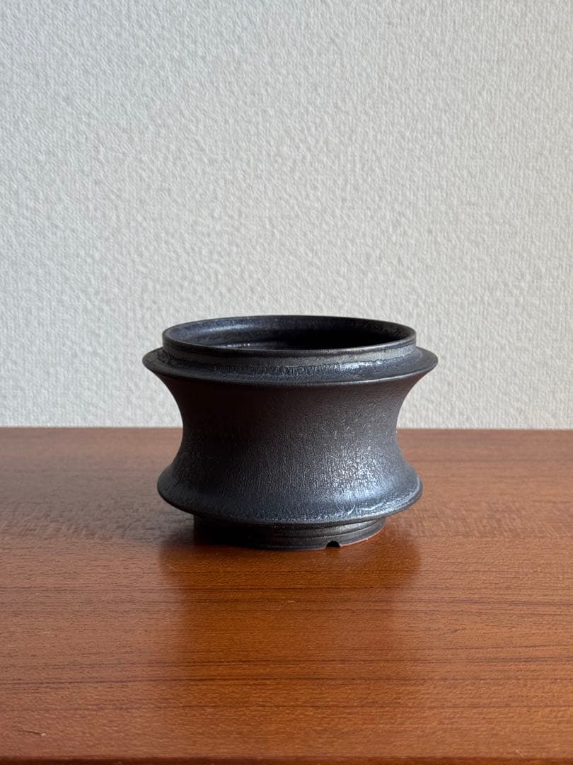 渋谷英一 ⑤ OPUS 鉢 植木鉢 作家鉢 パキプス アガベ グラキリス