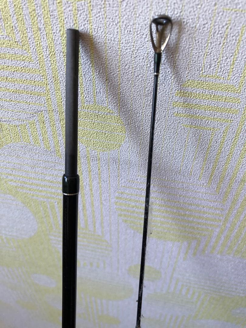 テンリュウ　レイズ