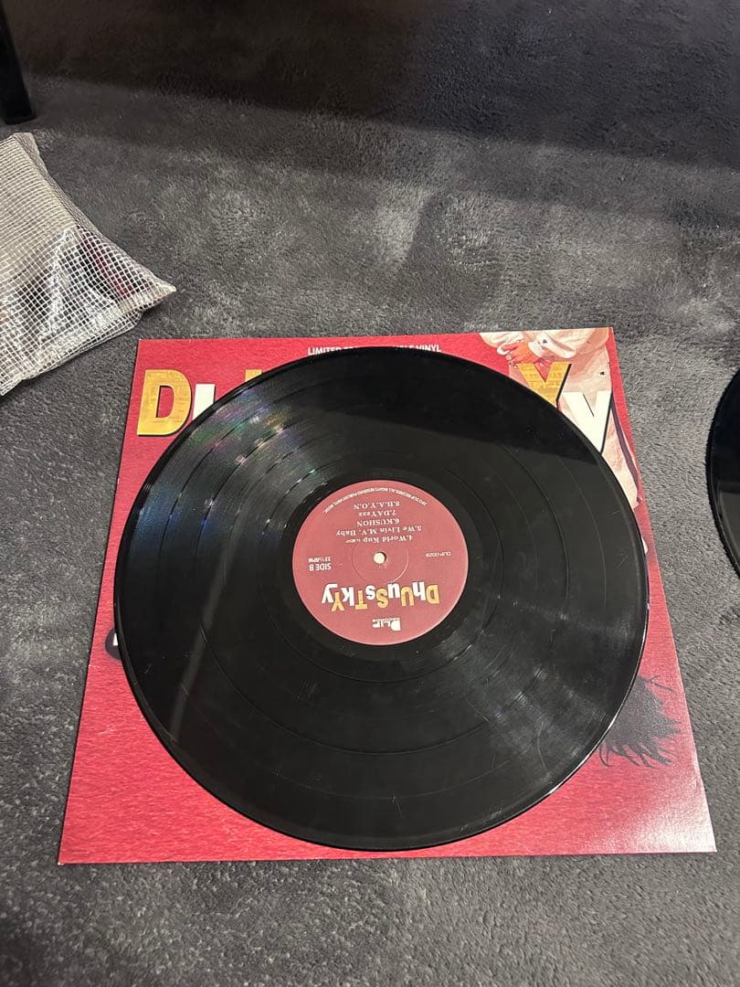 dusty husky DhUuSsTkYy レコード　lp