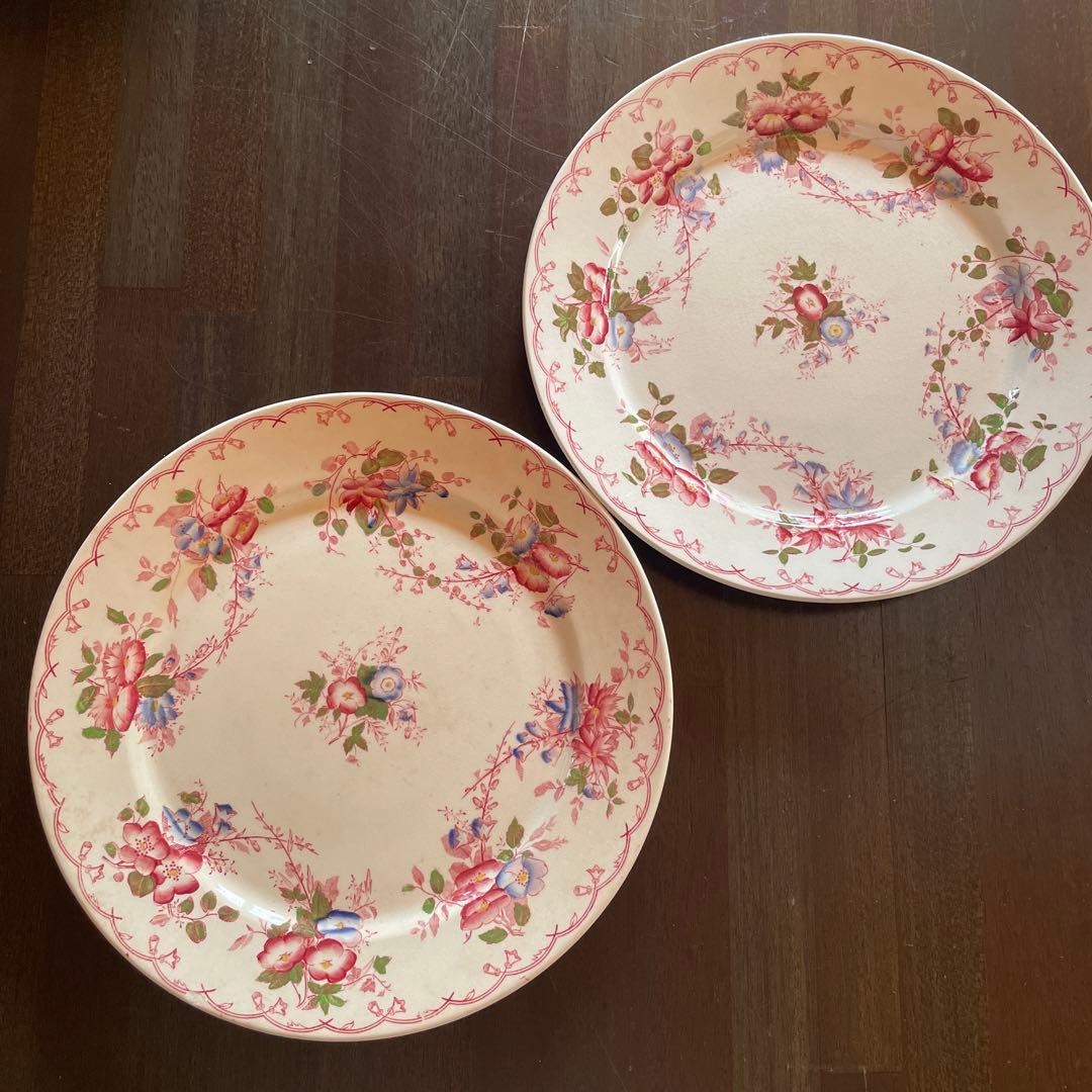 サルグミンヌ 花柄平皿 2枚セット BERTHA 約22.5cm