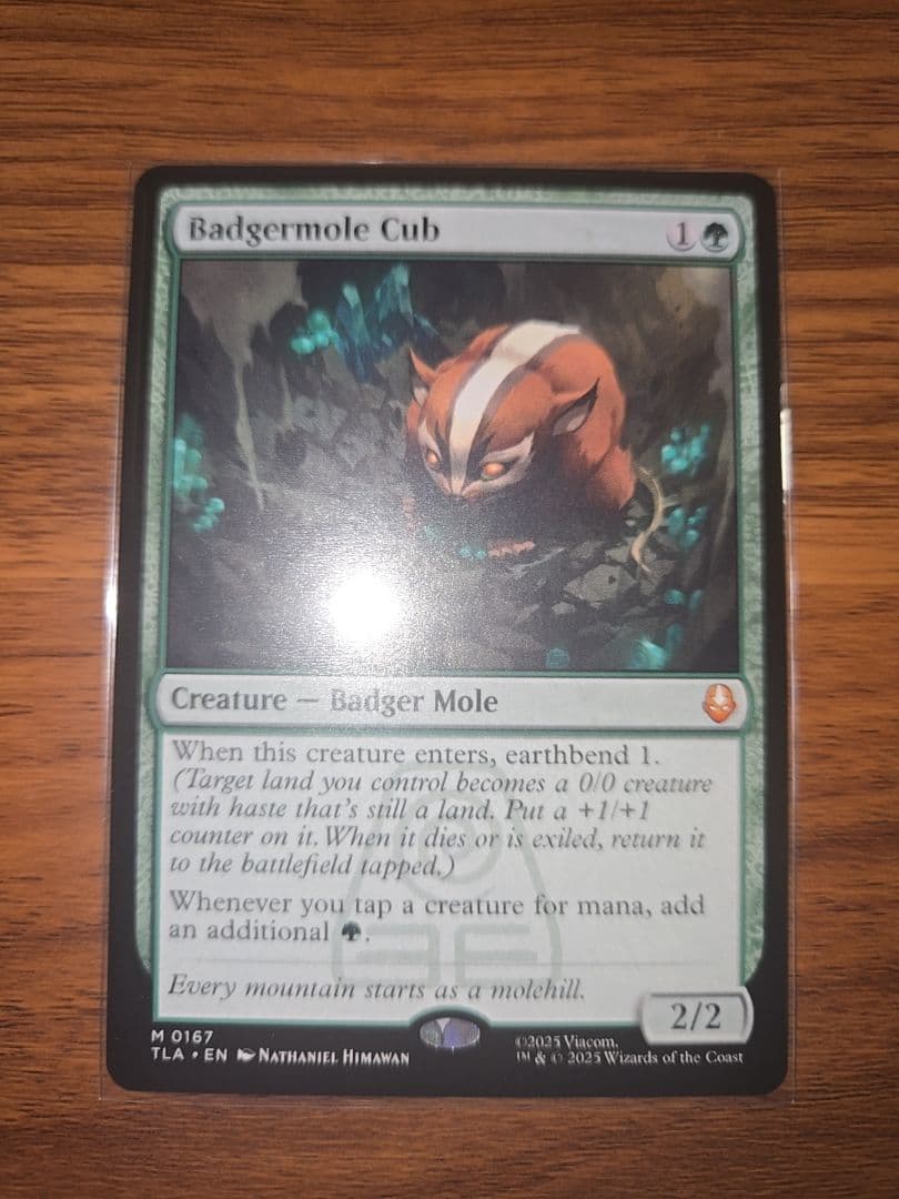 ラスト一枚【新品未使用】アナグマモグラの仔　英語版　アバター　伝説の少年アン