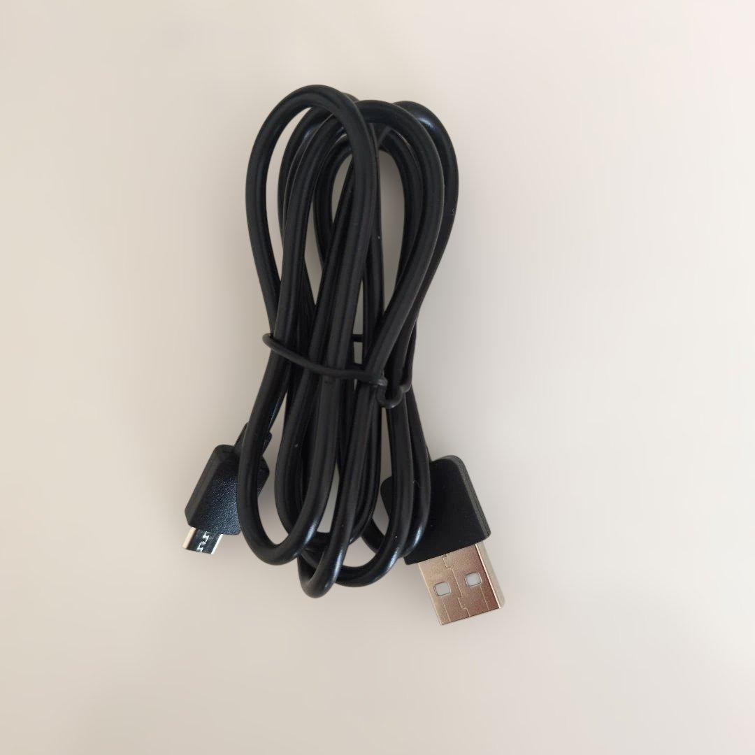 Nebula Capsule D4111 プロジェクター本体