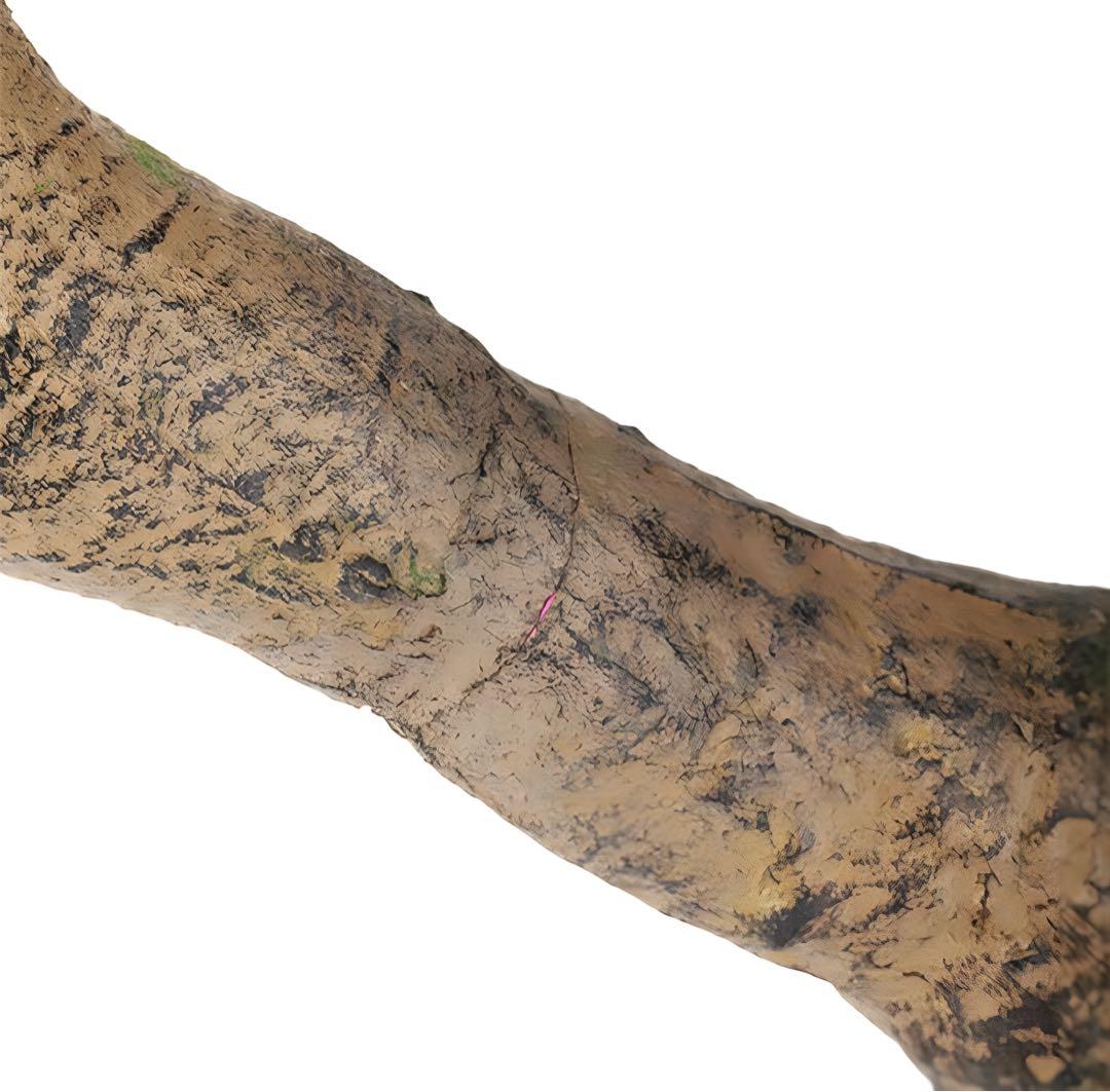 光触媒　人工観葉植物　フェイクグリーン　フィカスベンジャミナコアッド